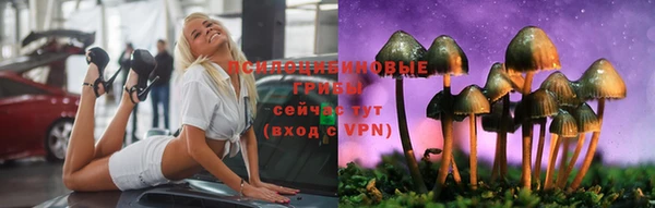 a pvp Кодинск