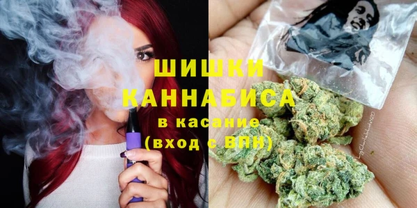 ешки Гусь-Хрустальный
