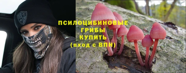 марки lsd Гусиноозёрск