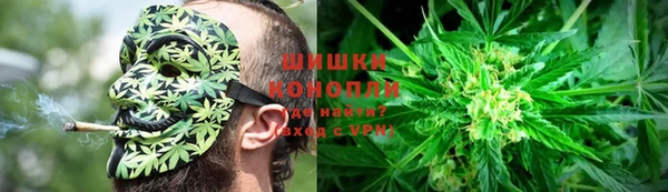 ешки Гусь-Хрустальный