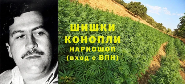 марки lsd Гусиноозёрск