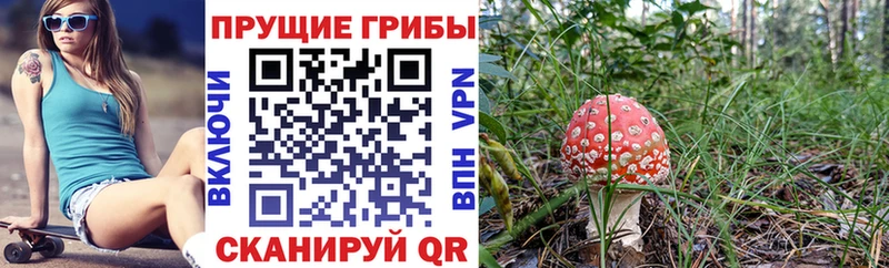 даркнет сайт  Дрезна  Галлюциногенные грибы Cubensis 
